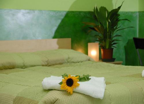 On The Rainbow B&B Rzym Zewnętrze zdjęcie